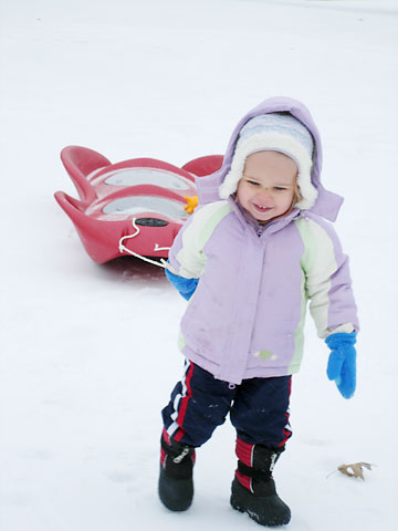 snow-bri-pull-sled.jpg