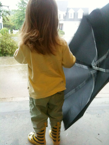 mimi-waiting-for-the-rain-to-stop.jpg