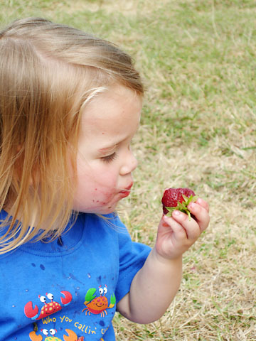 strawberry-post-eat-1.jpg