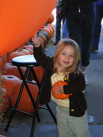 farmer-pumpkin-touch-balloon.jpg