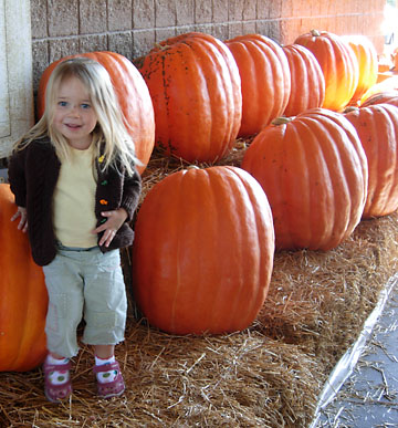 pumpkins-giant.jpg