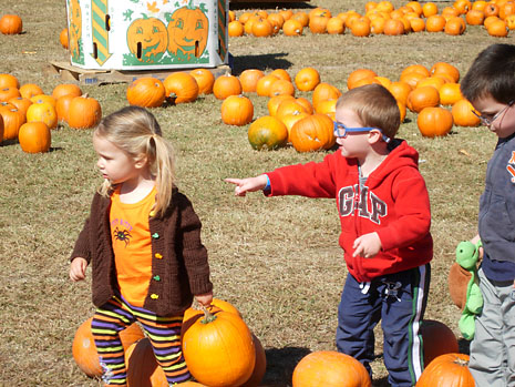october-eva-joy-picking-pumpkins.jpg