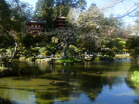 ca-sf-gg-park-tea-garden-pond.jpg