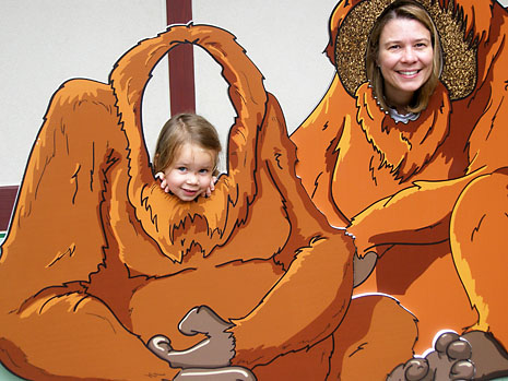 zoo-orangutan.jpg