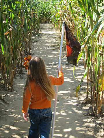 farm-corn-maze-leading-the-way.jpg