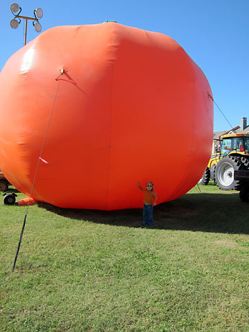 farm-giant-pumpkin-far.jpg