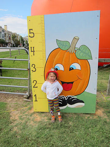 farm-pumpkin-height.jpg