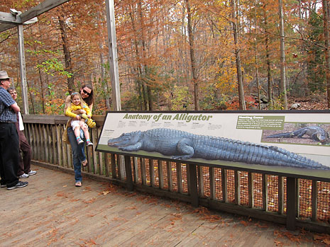 zoo-b-and-tia-with-alligator.jpg