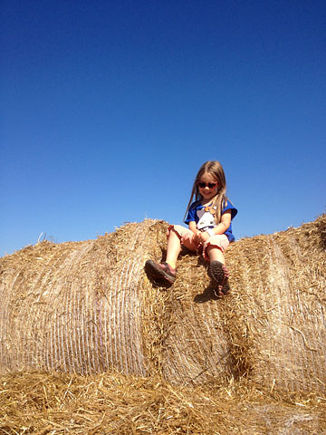 fall-b-haystack.jpg