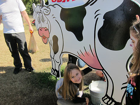 fall-milk-cow.jpg