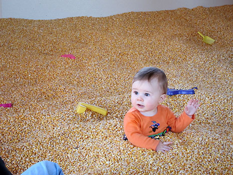 farm-corn-buried-m.jpg