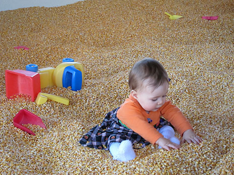 farm-corn-m-dig.jpg
