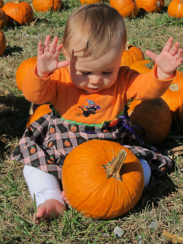 farm-m-pumpkin-hands-up.jpg