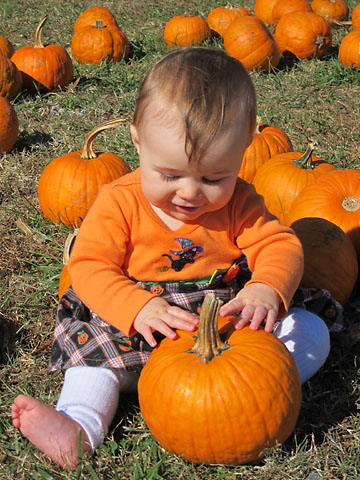 farm-m-pumpkin-smile.jpg