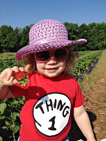 may-strawberry-picking.jpg