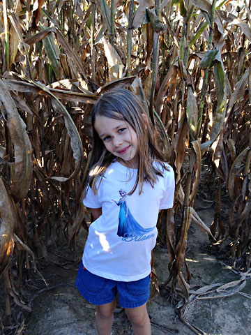 farm-corn-maze.jpg