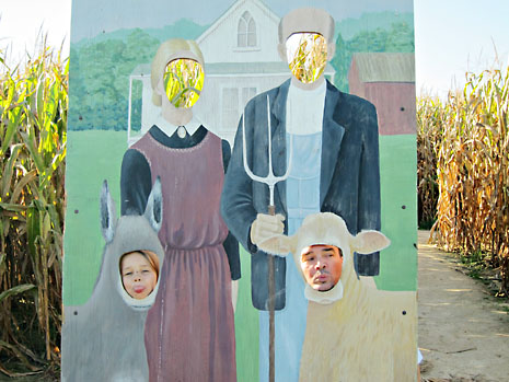 farm-face-in-picture-j-and-b.jpg