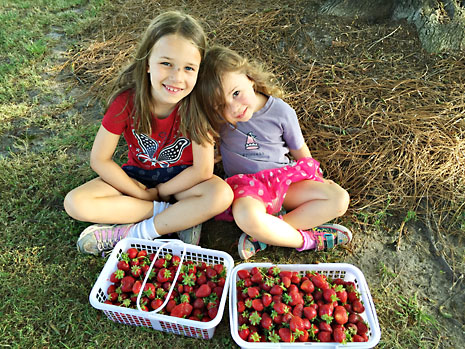 may-girls-with-strawberries.jpg